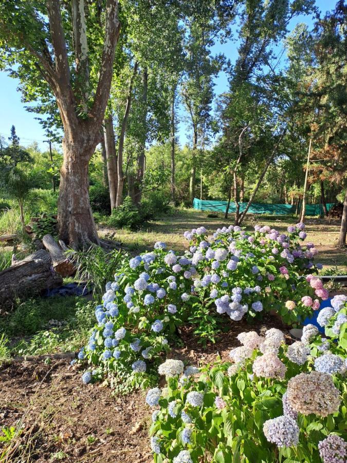 Casa Eden Exclusiva Y Comoda Casona De Descanso A Tan Solo 1 Hora De Bs As Villa Tigre Exteriör bild